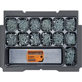 BTI Box 2 + DoTec Holzbauschraube 3.0 Seko blau TX